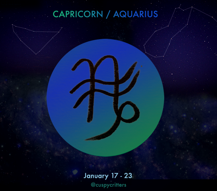 Capricorn Aquarius Cusp Cuspy Critters