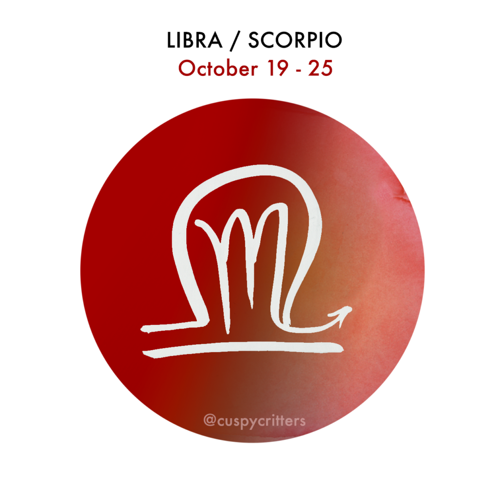 Libra Scorpio Cusp Cuspy Critters